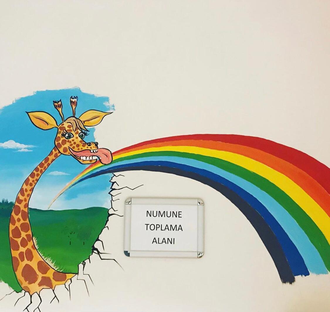 "Düşlerimi Boyar mısın?" Projesi: Duvarları Umutla Renklendiriyoruz